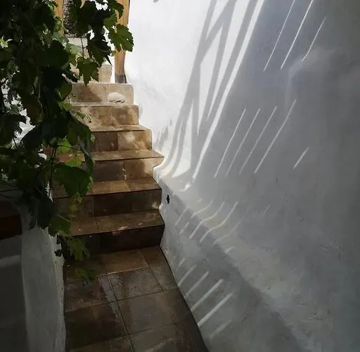 아파트 Souterrain Fuer Max 2 P., Bad, Aussenkueche, Garten *